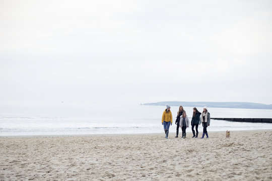Group Of Friends Enjoying Winter Walk On Beach With Dog