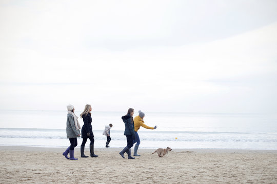 Group Of Friends Enjoying Winter Walk On Beach With Dog