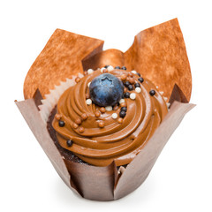 Cupcakes on a white background