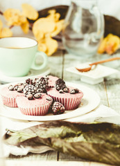 raw vegan berry cheesecake with coconut, selective focus