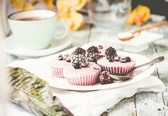 raw vegan berry cheesecake with coconut, portioned