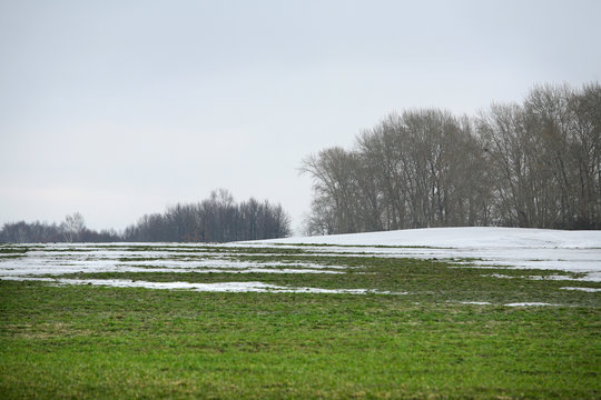 spring has come