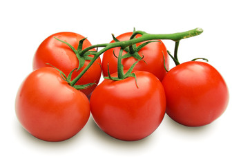 cherry tomatoes on branchisolated white background