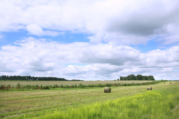 Fototapeta premium haystacks on the meadow
