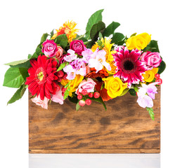 Box of beautiful flowers on white background