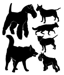 dog collection shepherd dog  bullterrier laika fox terrier. dogs vector black silhouettes isolated on a black background