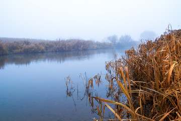 autumn morning at a forest lake with fog and beautiful warm colors
