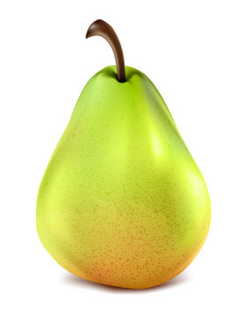 Pear fruit isolated