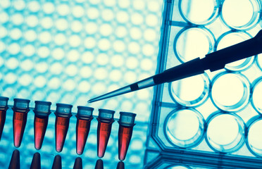 PCR strip test tubes and micropipette in genetics laboratory