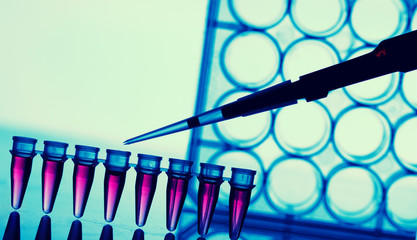 PCR strip test tubes and micropipette in genetics laboratory
