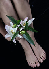 white lily in the hands