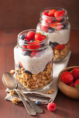 homemade granola and chia seed pudding with berry healthy breakf