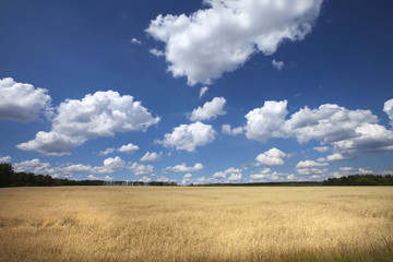 Obraz premium clouds over the field