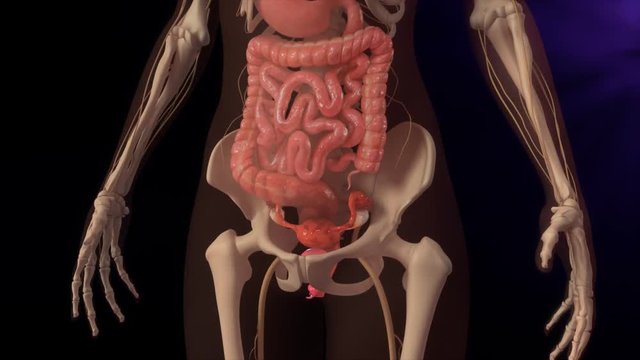 Endometrial tissue