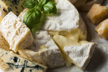 Cheese assorted on a table background. Variety sorts for appetizing, gourmet, delicious snacks. Traditional French dish for wine on lunch and dinner closeup. Camembert, Roquefort.
