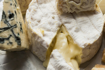 Cheese assorted on a table background. Variety sorts for appetizing, gourmet, delicious snacks. Traditional French dish for wine on lunch and dinner closeup. Camembert, Roquefort.
