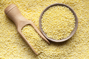 Organic millet in bowl and spoon