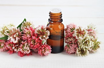 Apothecary dark glass bottle red clover extract. Skincare benefits. Fresh clover flowers.