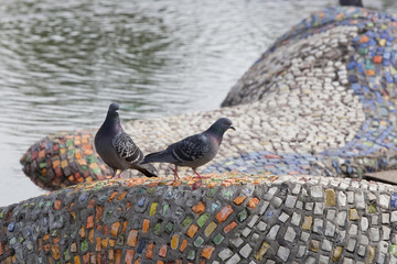 pigeons on a fountain