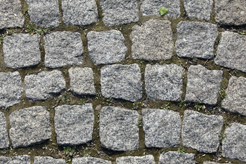 texture of the pavement and pavers