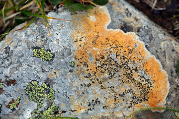 Travel to Eastern Sayan mountains