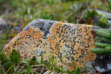 Travel to Eastern Sayan mountains