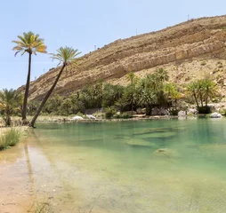 clear water in oasis