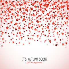 Text frame made from red maple leaves. Copy space.