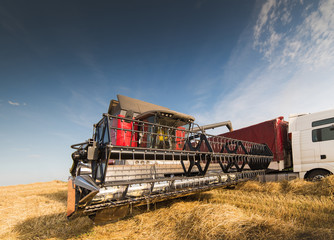 Fototapeta premium Harvesting of soy bean field