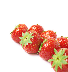 Line of red strawberries isolated