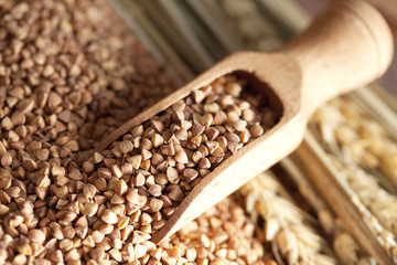 Buckwheat in scoop