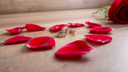 Fototapeta na wymiar Two wedding rings lying on wooden desk surrounded by fresh red r