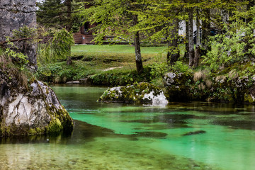 Romantic Sava Bohinjka river in Slovenia
