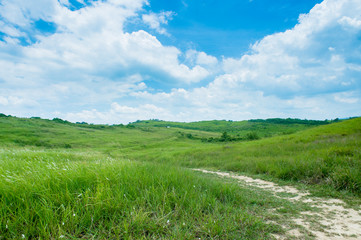 grassland with blue sky and white clouds