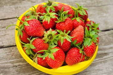 Summer berries topic: Ripe red strawberries lying in a yellow plate on a pile of gray wooden table in the garden, view from above