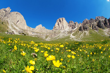 The Rosengarten mountain