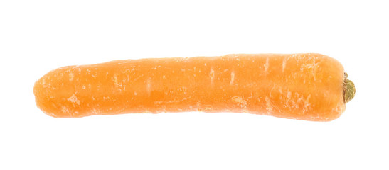 Single baby carrot isolated