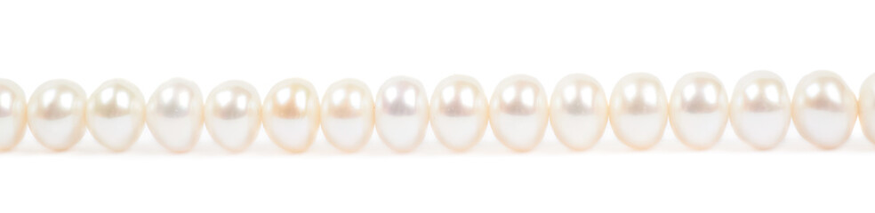 Fragment of a pearl necklace isolated