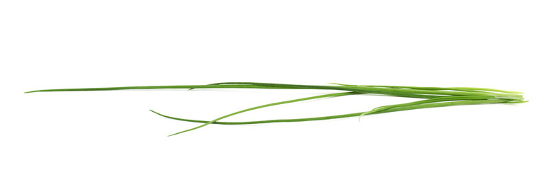 Green onion scallions isolated