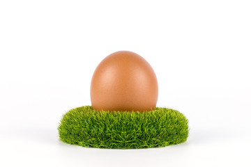 fresh egg on grass