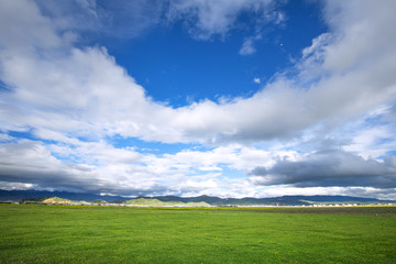 Fototapeta premium Lawn with sky