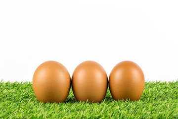 fresh eggs on grass