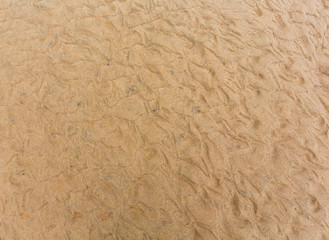 Sand background with barely visible waves.