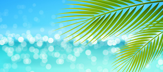 Fototapeta na wymiar Palm and beach, bokeh - Summer Holiday