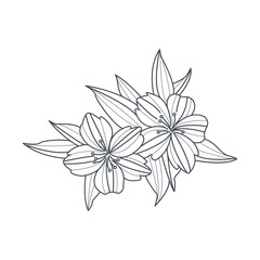Wild Flower Monochrome Drawing For Coloring Book