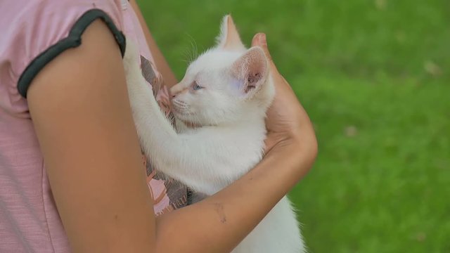 brunette girl holding kitten in her teen cat arms love outdoors