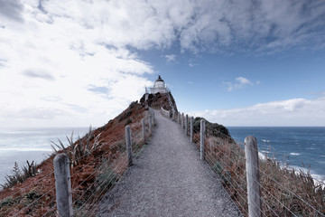 The path to Nugget Point Lighthouse.