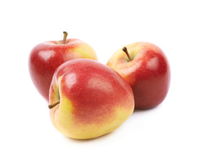 Ripe red and golden jonagold apple