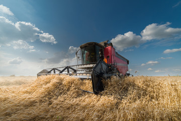 Harvesting of soy bean field