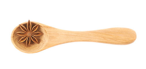 Chinese star anise seed isolated